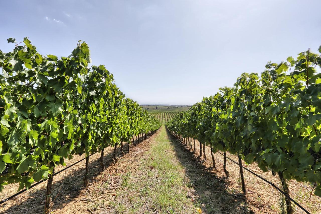 Agriturismo Terra Rossa Valiano Экстерьер фото